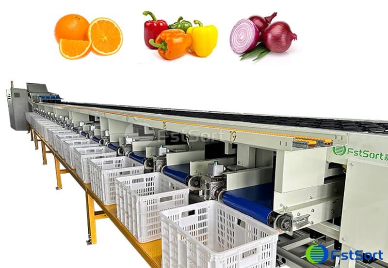 images/1702542075448bell pepper weight sorting machine.jpg